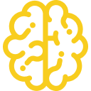BrainAbouts